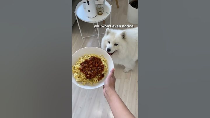 My Dog Whenever I Have Food #shorts #dog