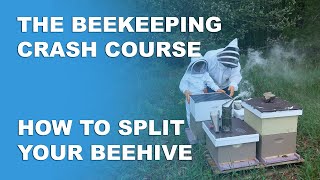 Splitting And Combining Hives - Beekeeping Basics Part 8 - Beekeeping Crash Course