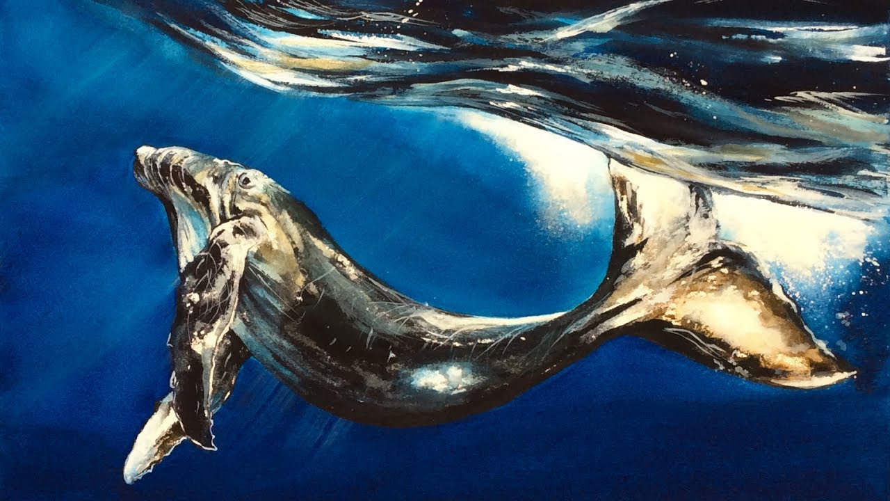 Watercolor Whale Painting Demonstration