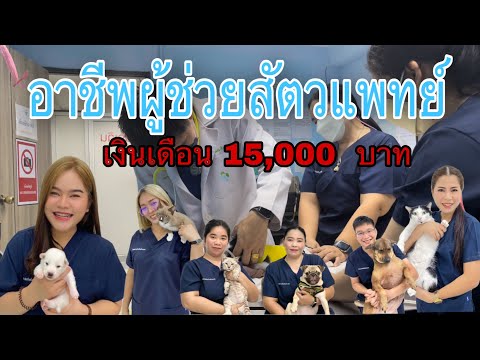 วีดีโอ: ประเภทรถ: รหัสในใบกำกับภาษีขนส่ง