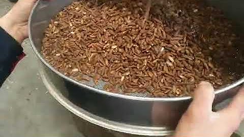 Pine Nut Processing Line,  Pine nuts cleaning,dehulling &separating machine