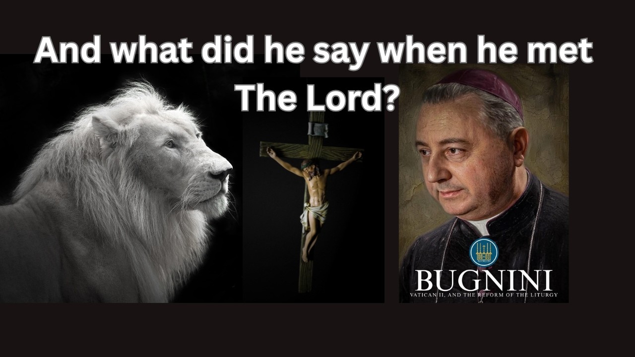 EP.162 ||THE STRANGE ORIGINS OF THE NOVOS ORDO FROM ALTARE DEI