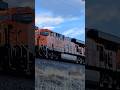 BNSF 25th Anniversary 5828 Leads Second on the H-DENLAU