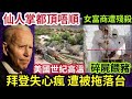 人類將亡！全球破「紀錄高溫」仙人掌都熱死！拜登健康「危急」說話不清！白宮打斷記者會！摩納哥大地震！專家指出「傷亡慘不意外」原因曝光！意大利女富商「得罪黑手黨」遭分屍餵豬！世界國際新聞印度神童預言又中