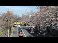 【春の終わりに歌いたくなる】僕らは静かに消えていくshort(山碕まさよし)・・・ #Shorts
