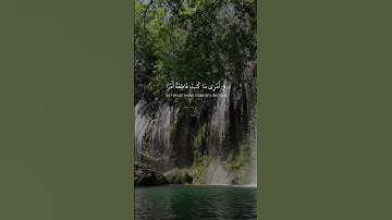 تلاوة الشيخ ياسر الدوسري حفظه الله #اكسبلور #القران_الكريم #راحة_نفسية #ترند