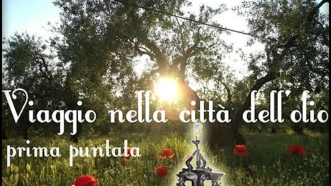 Qual è la città dell'olio?