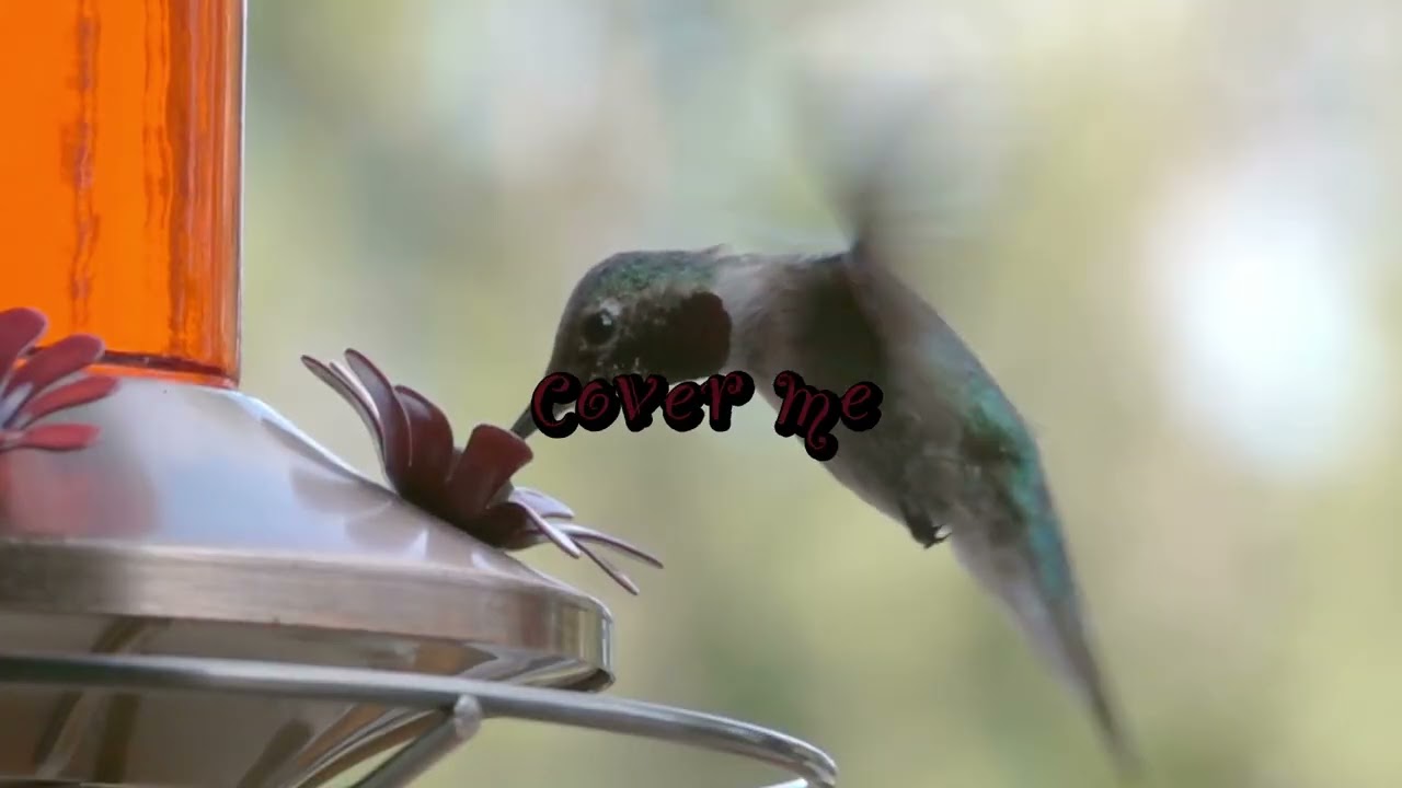 Psalm 91 - Worship Music [2026]