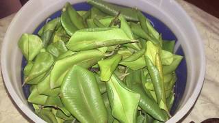 How to preserve bay-leaves Profile