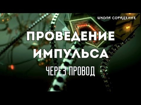 Проведение импульса через провод  #проводвголову #Гарат #школаcорадение