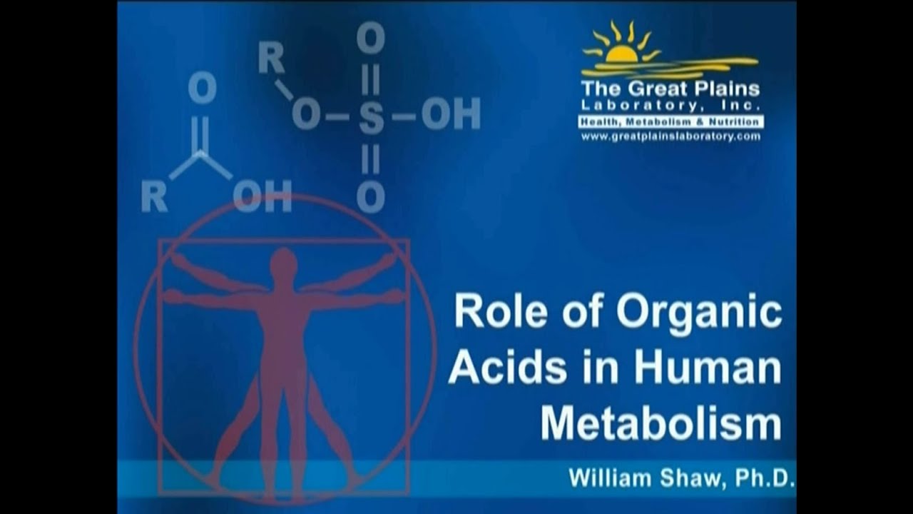 great plains laboratory glutathione test Interpretation of the Organic Acids Test — Great Plains Laboratory