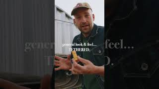 Why Film Still Feels Different | Forrest Mankins