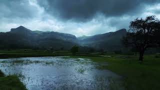 Nature camping rain