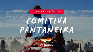 Cultura do pantaneiro: conheça a rotina dos peões