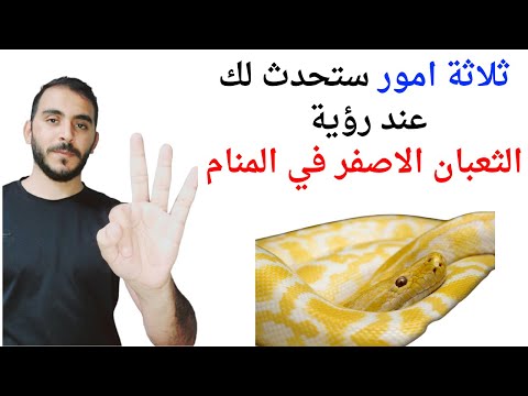 ثلاثة امور ستحدث لك عند رؤية الثعبان الاصفر في المنام  تفسير حلم رؤيا الثعبان الاصفر في المنام