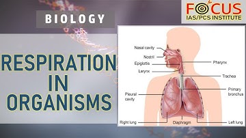 IAS PCS Biology LECTURE-7: Respiration in Organisms (NCERT Class-7 Chapter-10)