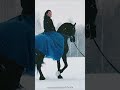 فيديو للتصميم بنت تركب الحصان في الثلج