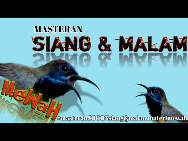 MASTERAN SOGON SIANG & MALAM, MATERI MEWAH JOSS class=