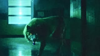 legacies 3x10 Werewolf Transformation Scene