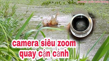 CÂU CÁ LÓC RỪNG U MINH HẠ | quốc toản fishing | snakehead fishing