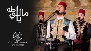 مالي يا طه | محمد ياسين المرعشلي