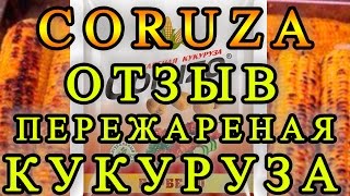 Жаренная кукуруза Coruza барбекю: реальный отзыв с собакой о качестве продукта Жаренная кукуруза Coruza барбекю: реальный отзыв с собакой о качестве продукта