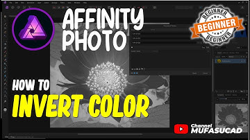 Affinity Photo How To Invert Color