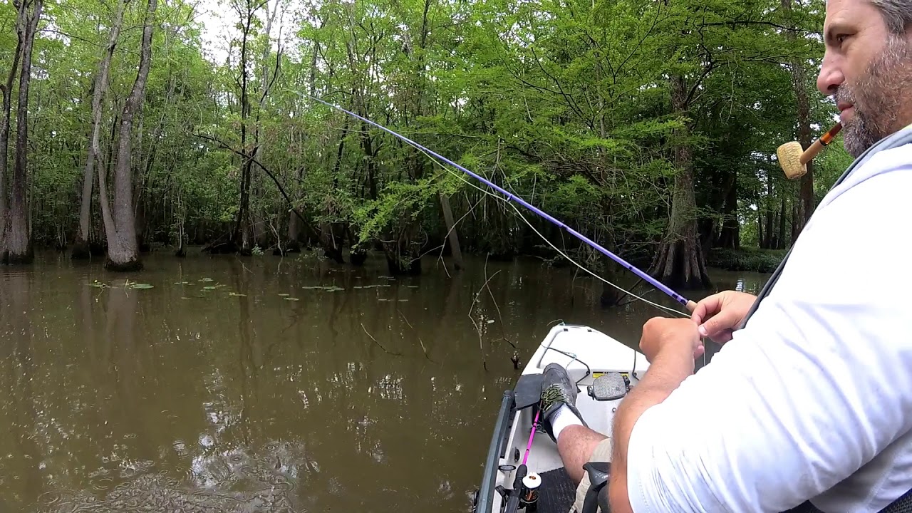 Panfish on the fly Rod YouTube