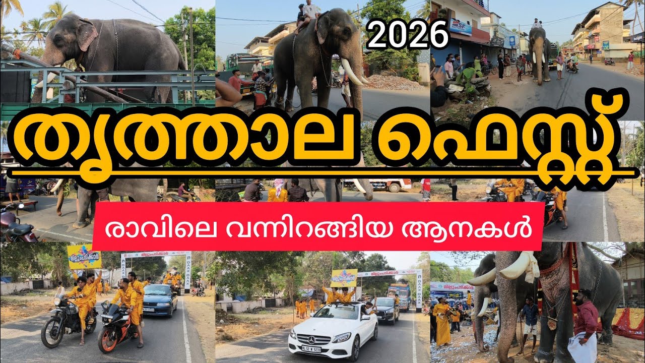 തൃത്താല ഫെസ്റ്റ് 2026 രാവിലെ ഇറങ്ങിയ ആനകളുടെ കാഴ്ചകൾ പുതുപ്പള്ളി കേശവൻ കാർത്തികേയൻ#Mrcvlogs