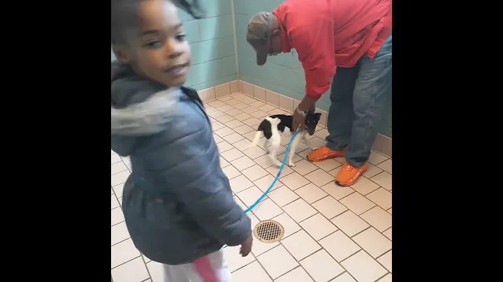 we are bringing our new dog home