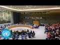 Ukraine: Maintenance of Peace and Security - Security Council | United Nations LIVE