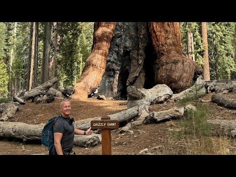 I’m a BRIT on a USA Road Trip!