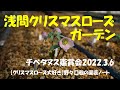 浅間クリスマスローズガーデン 2022.3.6