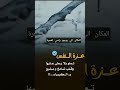 لو عندك غرور كبريائي سيل يجرفك اكسبلور