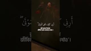 ٦ سبتمبر ٢٠٢٥