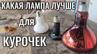 Инфракрасные лампы для курятника - керамическая с нихромовой нитью или стеклянная с вольфрамовой?