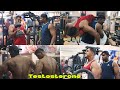 Testosterone Booster Vibe with Gym Bros || TAMIL