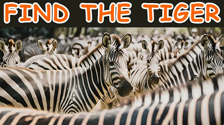 Can you find all the hidden animals? - Quiz