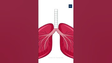 Reset Your Brain in 60 Seconds 🧠 | Science-Based Hack for Instant Focus