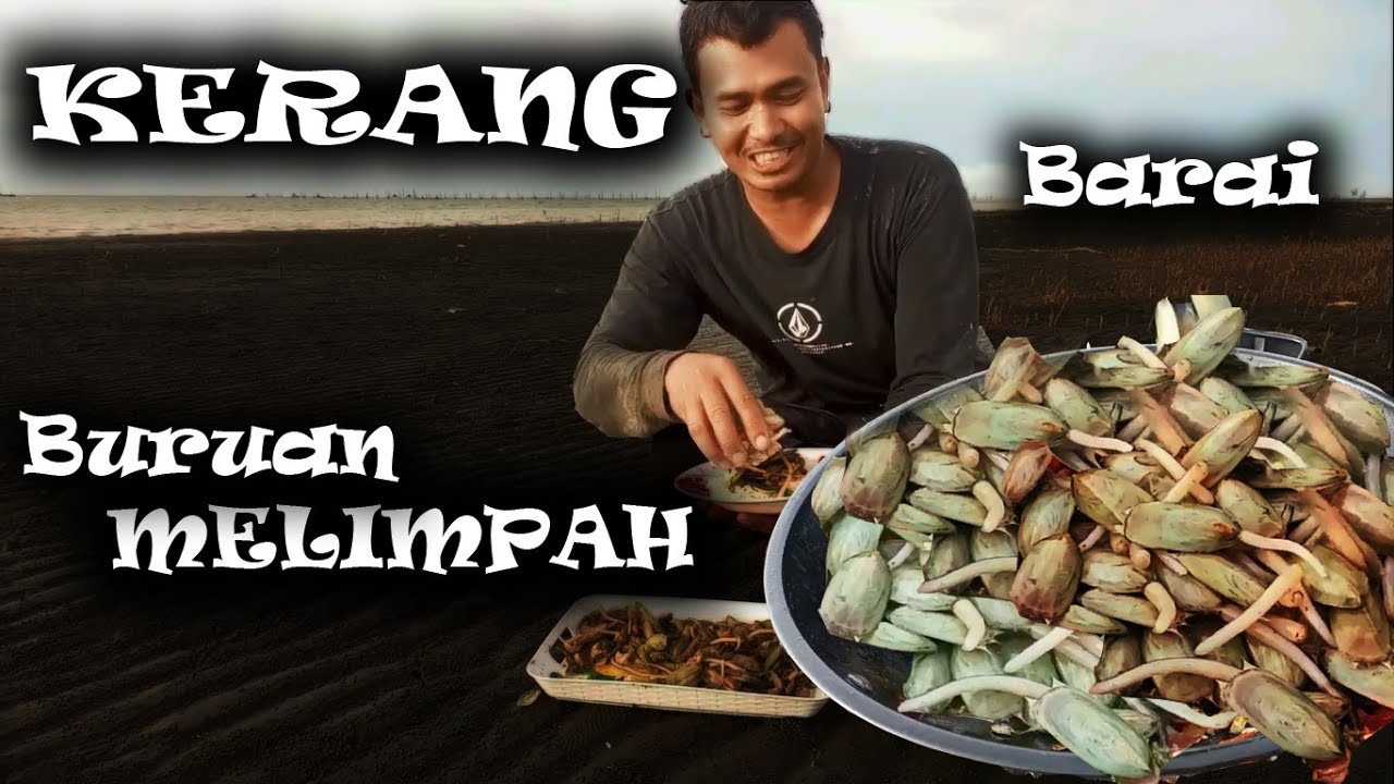 Ke Rang Simak Simak Rahasia Sukses Berburu KERANG Dipantai: Dijamin Membuat Ketagihan ...