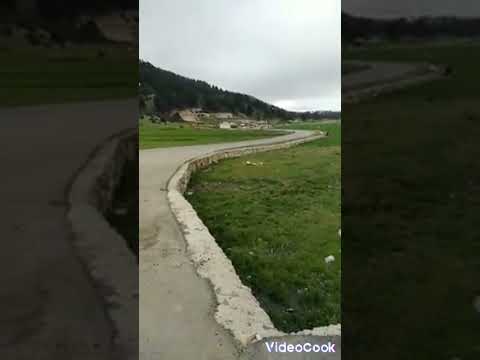 إن الصلاة على النبي وآله يشدو بها من شاء أن يتعطرا صلوا على خيرالبرية