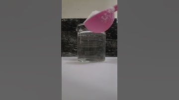 OSMOSIS In Raisins | #hypertonic #hypotonic #osmosis #scienceexperiments |