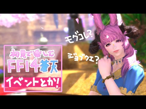 【#FF14】モグコレとか何かする！！初見プレイ【FINALFANTASY XIV】【GAIA Alexander】【Vtuber/夢見ここ】#71