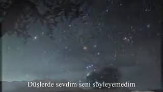 Gülşen Güven - Söyleyemedim Resimi