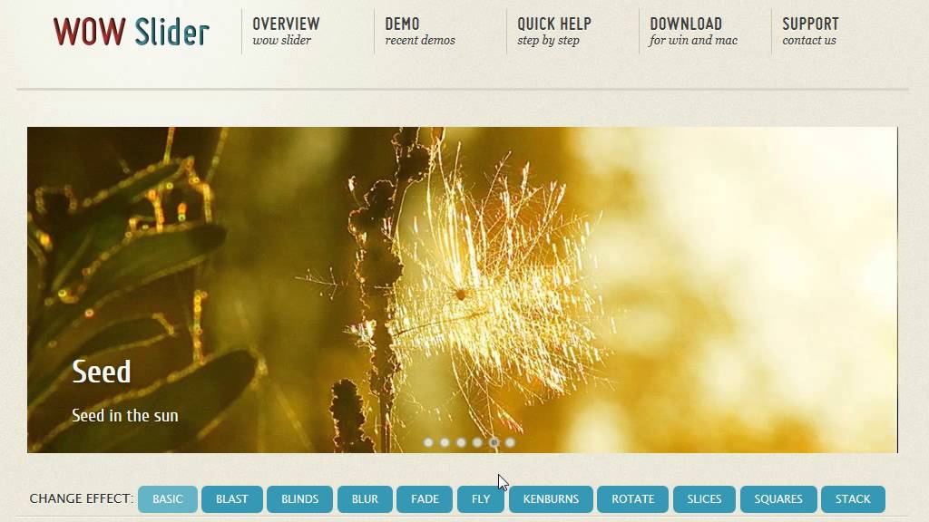 Web Photo Gallery - Wordpress image slider plugin!