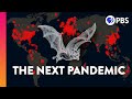 Understanding Viruses and Zoonotic Infections