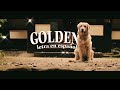 GOLDEN // Harry Styles // lmousse // letra en español
