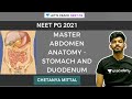 Master Abdomen Anatomy - Stomach and Duodenum | NEET PG 2021 | Chetanya Mittal