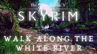 River Run To Falkreath - Walking Across All of Skyrim p.5 | Skyrim 4K Music & Ambience