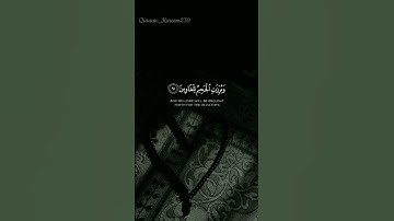 #القرانالكريم #reels #quran #fypシ #قراءة_خاشعة #قرآن #تلاوات #راحة_نفسية #القدس #فلسطين  #غزة